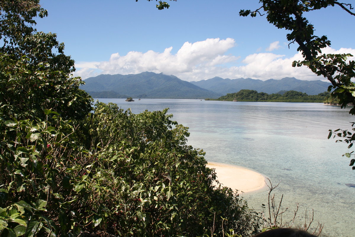 Папуа Новая Гвинея.Природа - Антонина 