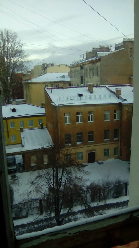 Зимний вид из окна. - Светлана Калмыкова