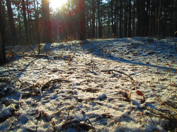 Зима в лесу - Яна 
