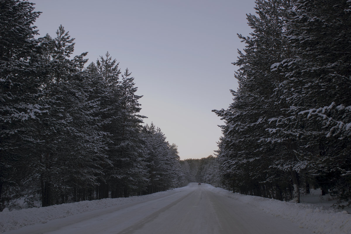 Зимняя дорога в Сибири - Виктория - репортажный фотохудожник