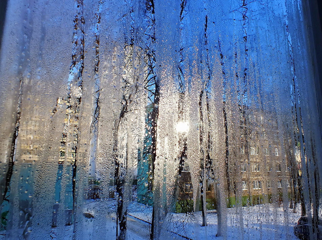 вид через зимнее стекло балкона - Александр Прокудин