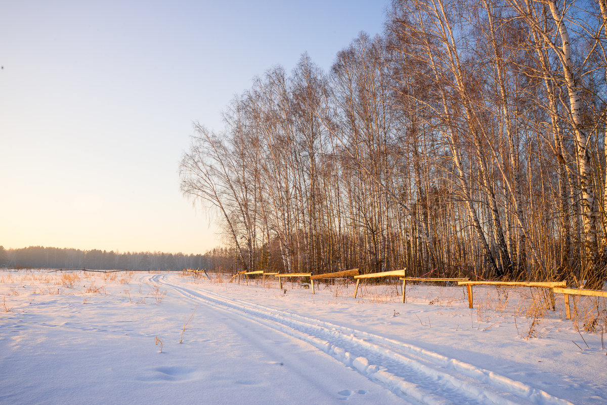 Природа Сибири зима - Ольга Рав