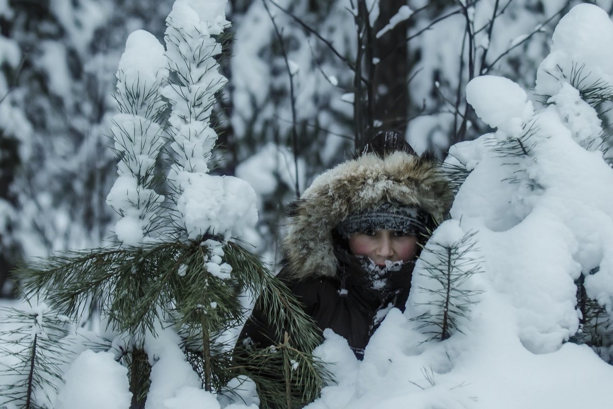 cold woods - Dmitry Ozersky