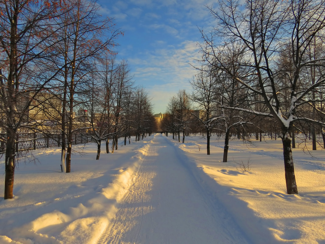 Зимний вечер в парке - Александр Смирнов