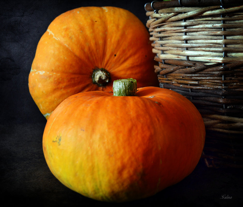 Orange pumpkin - Галина Galyazlatotsvet