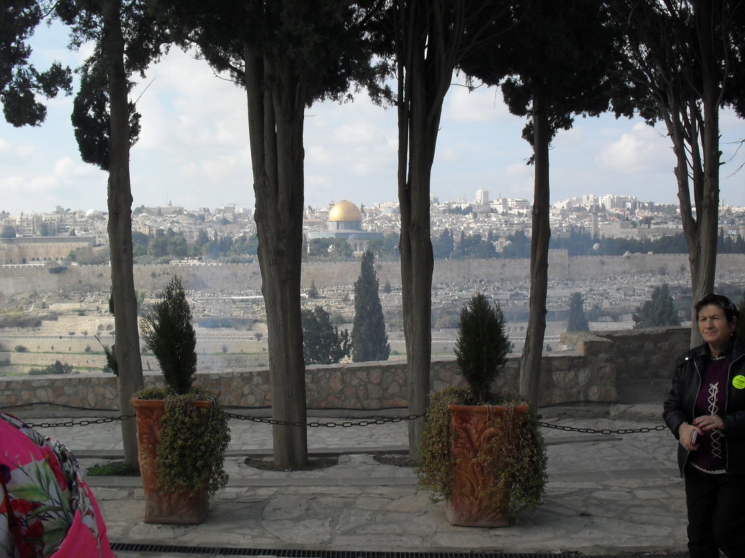 Вид на старый город в г. Иерусалиме - Надежда 