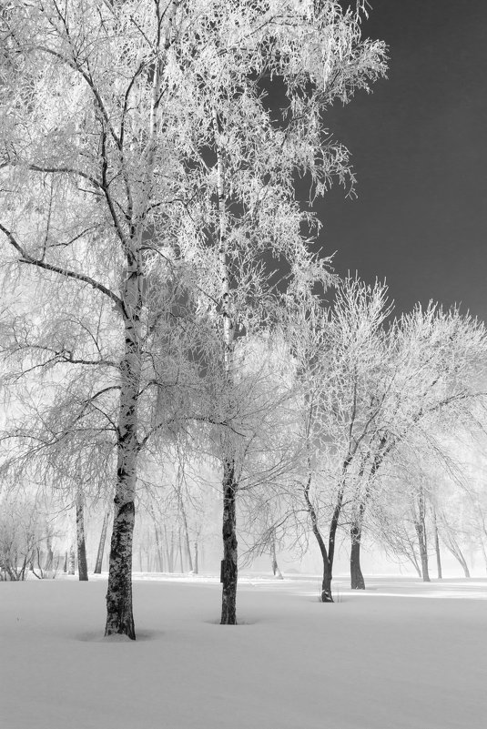 Зимний пейзаж - ВЯЧЕСЛАВ КОРОБОВ