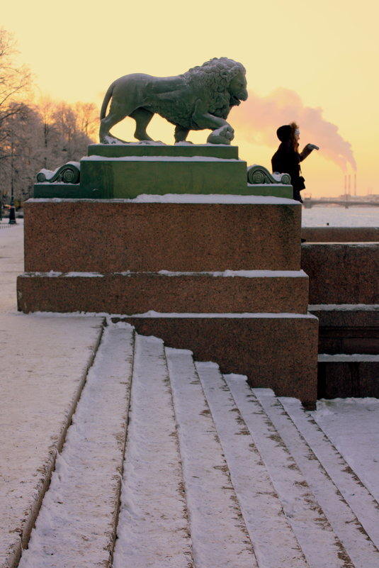 НОВОГОДНИЙ ПЕТЕРБУРГ - Николай Гренков