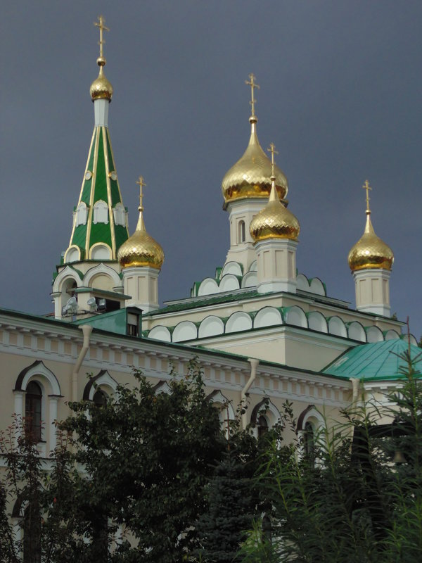 Воскресенский Новодевичий монастырь - Алина Шевелева