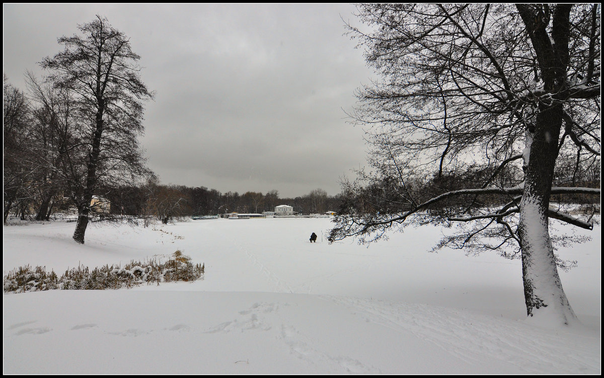 Москва 13.01.2016г. - Виталий Виницкий