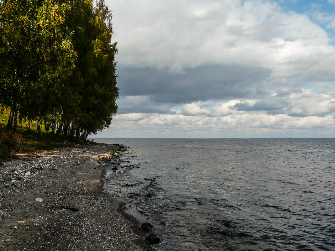 Чкаловское водохранилище - Алена Сизова