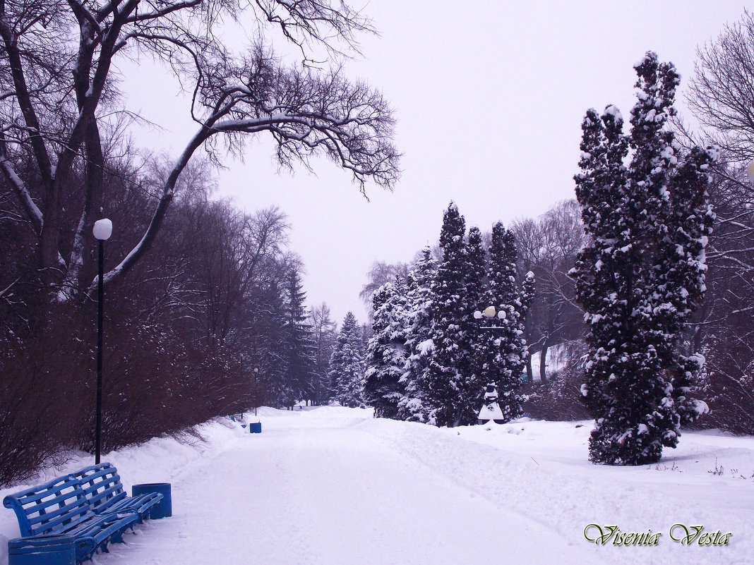 Зима в городском парке - Виктория Стукалина