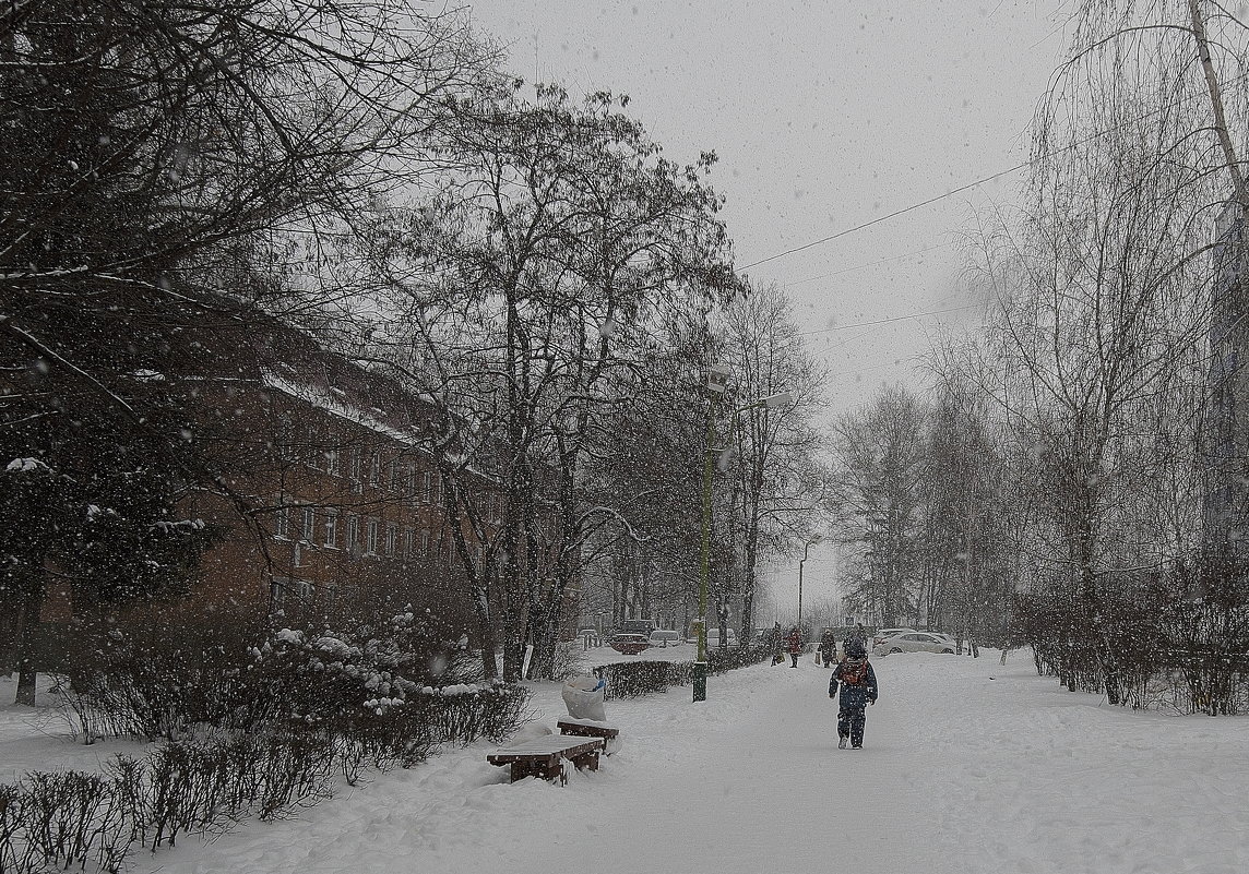Снегопад - Андрей Михайлин