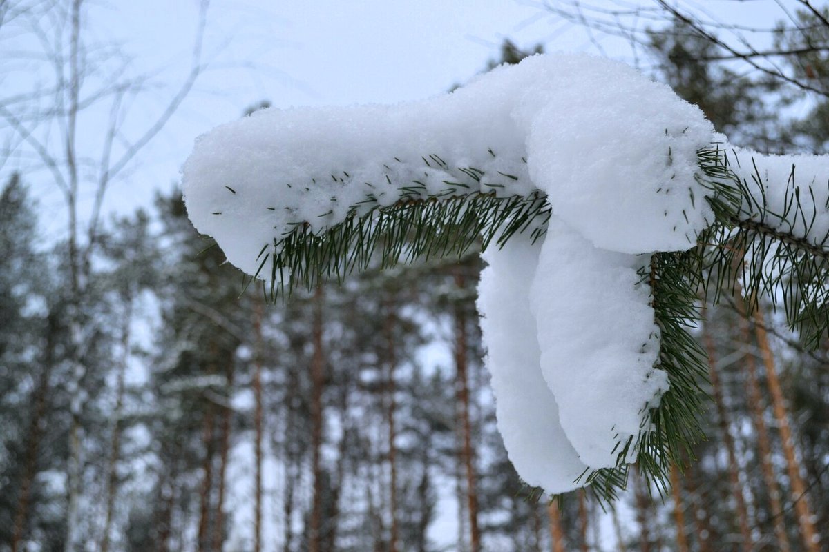 Творчество снегопада - Милешкин Владимир Алексеевич 