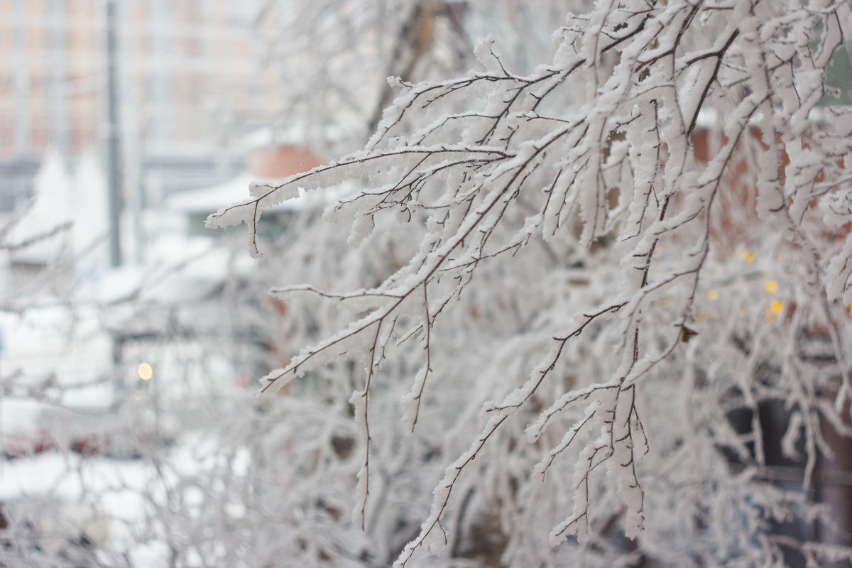 Зима в Питере - Юля Шрамм