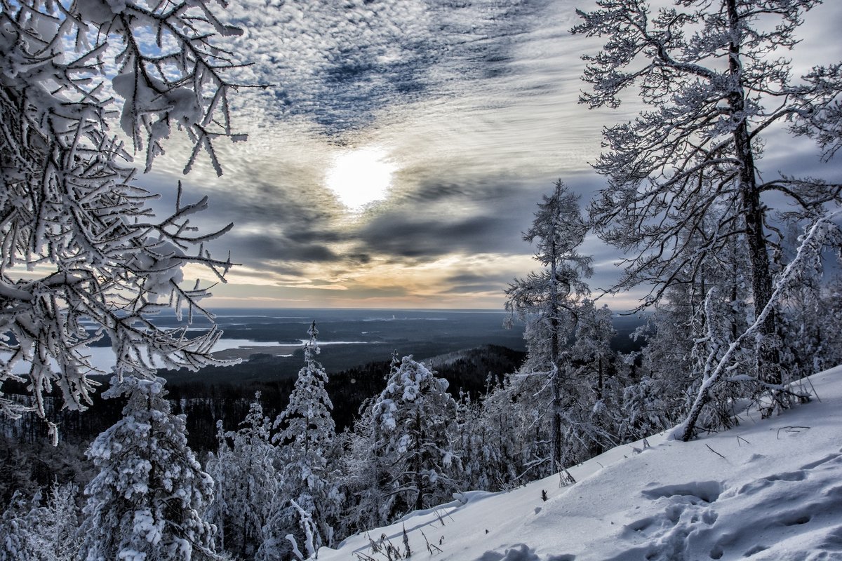 winter morning in January - Dmitry Ozersky