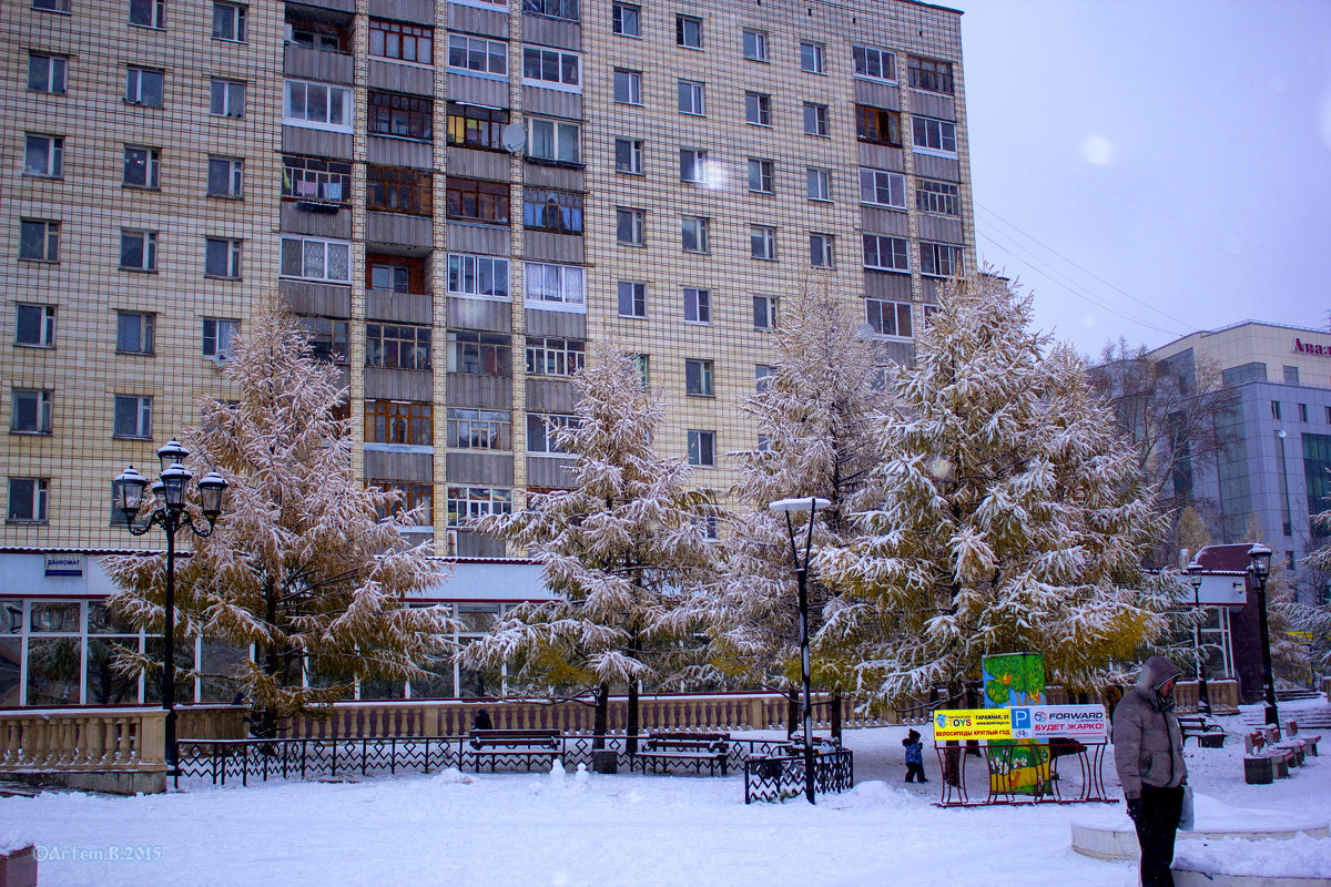 Лиственницы в снегу.2015 - Артём Бояринцев