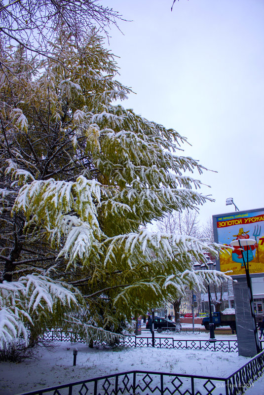 Снежным днем осенним...2015 - Артём Бояринцев