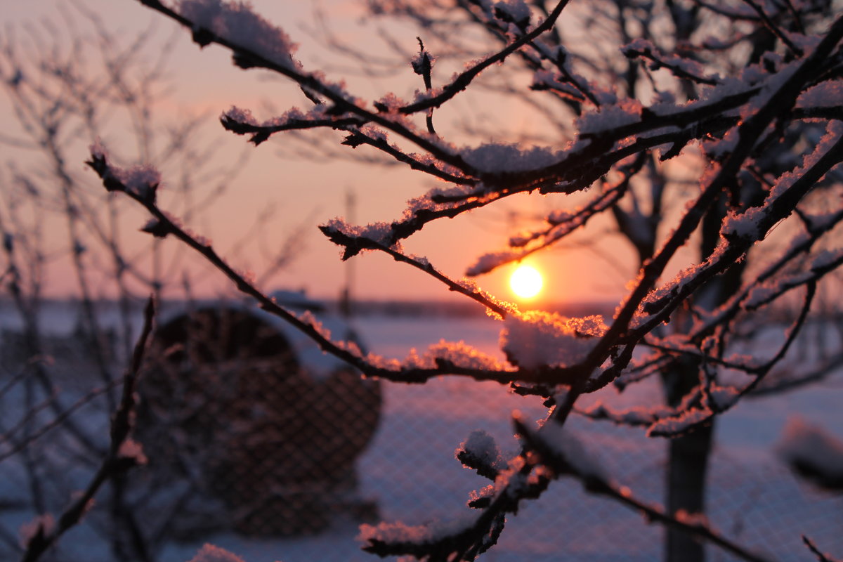 Зима. Восход солнца - Алиме Исмаилова
