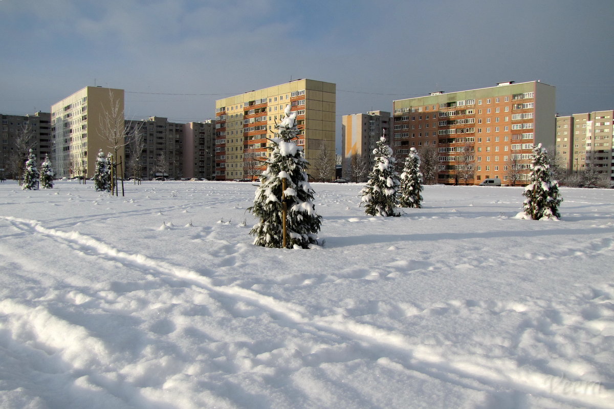 Зима в городе - veera v