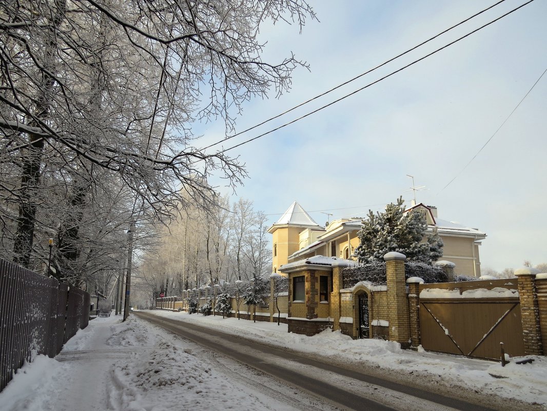 Улица в Шувалово - Вера Щукина