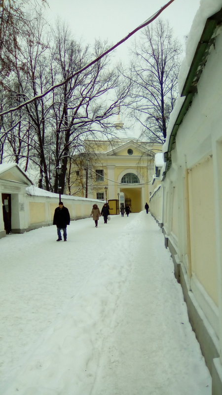 Повседневная жизнь в Александра-Невской Лавре. - Светлана Калмыкова