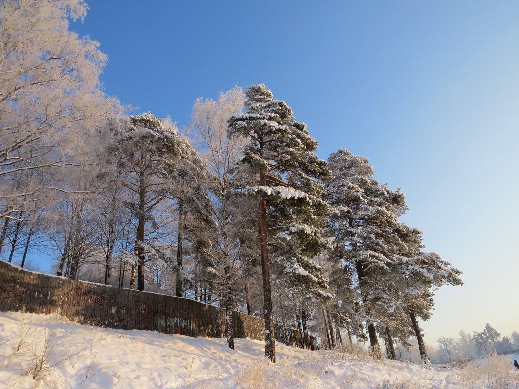 Зима - Вера Щукина