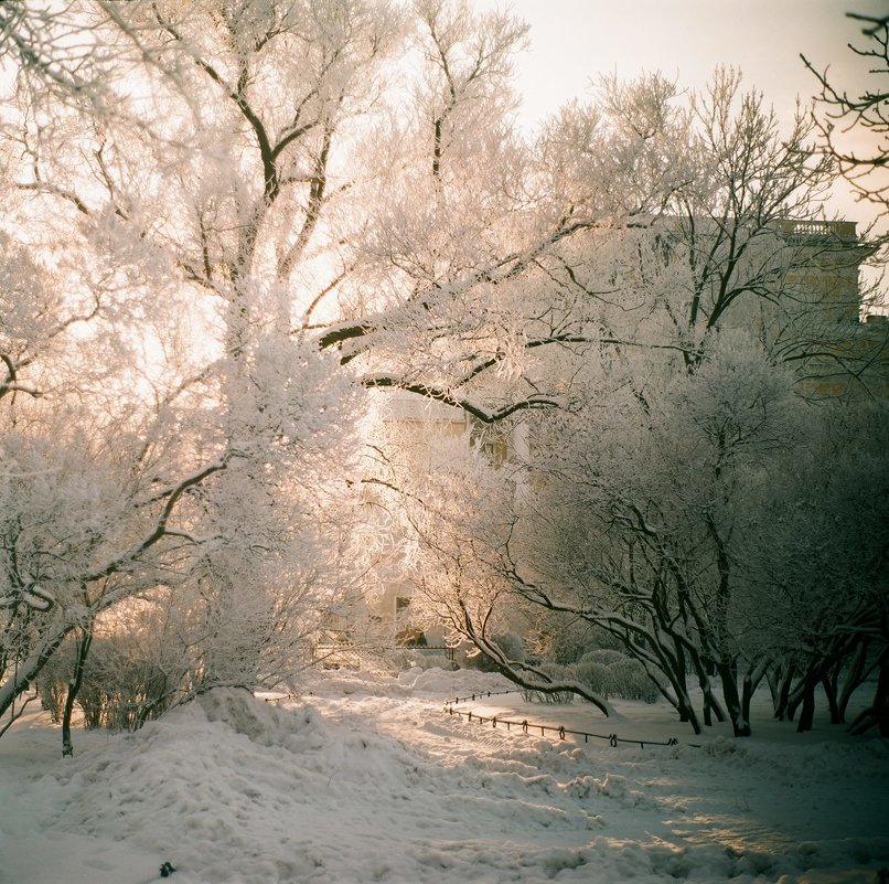 Зимнее утро в Санкт-Петербурге - Ivan Zaytcev