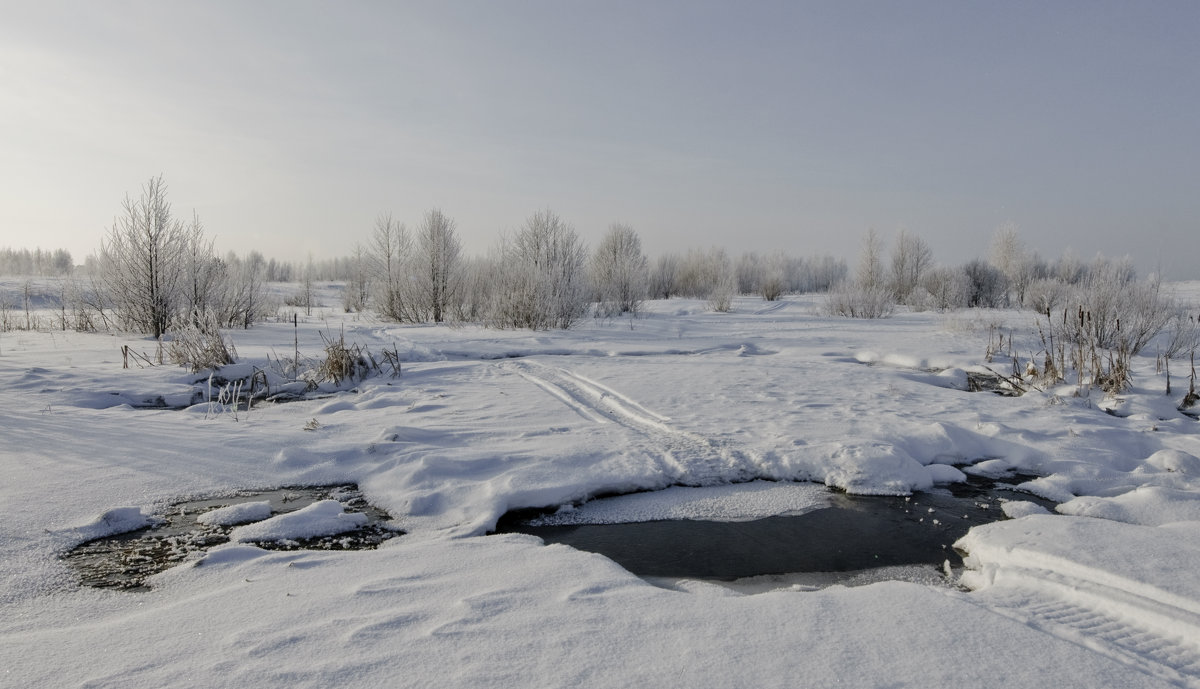 -22... - Фёдор Куракин