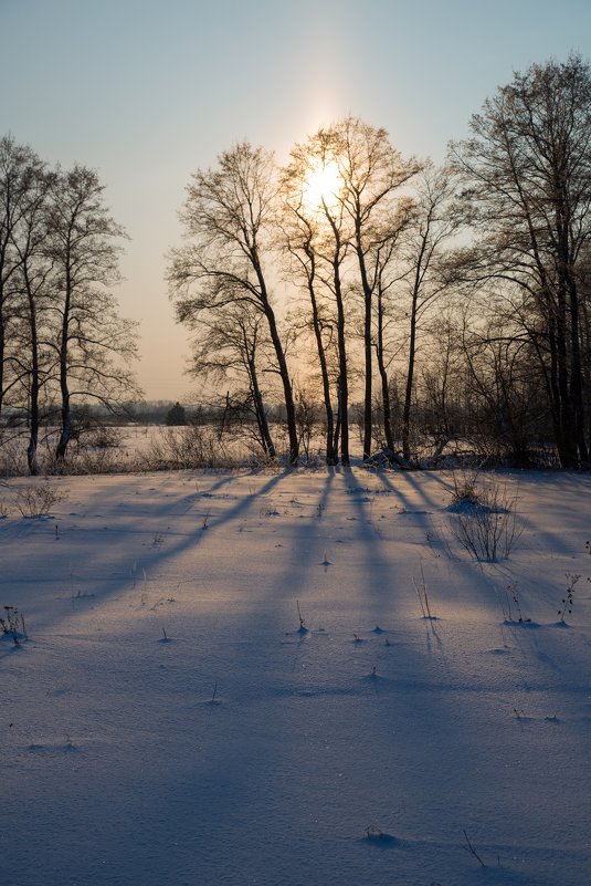 Тени зимой - Pavel Stolyar