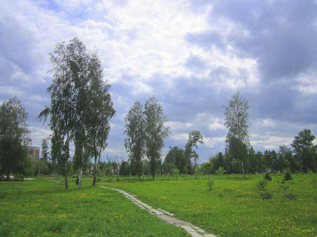 В городском парке. - Мила Бовкун