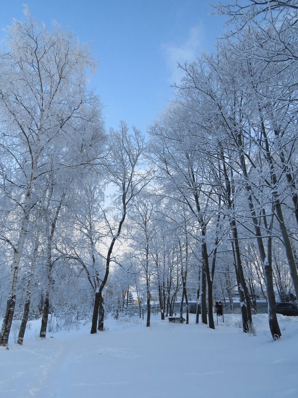 В зимнем парке - Вера Щукина