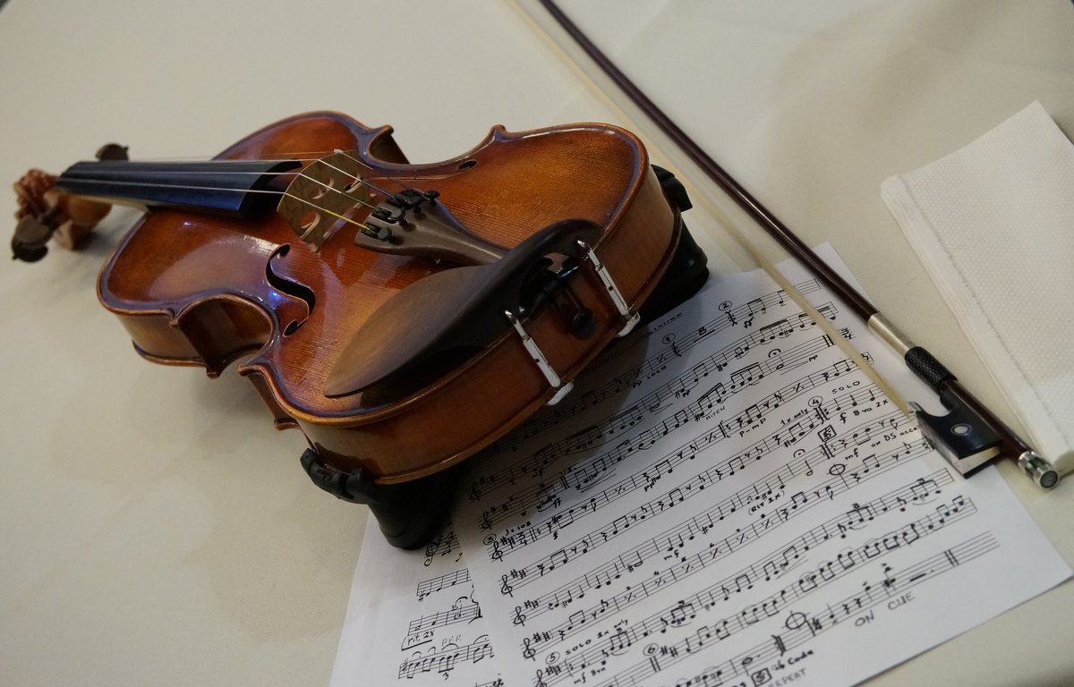 Violin.... - Fidel Nekastro