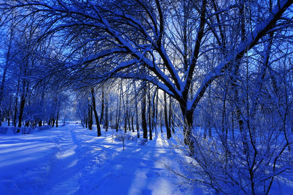 синий снег - Дмитрий Потапов