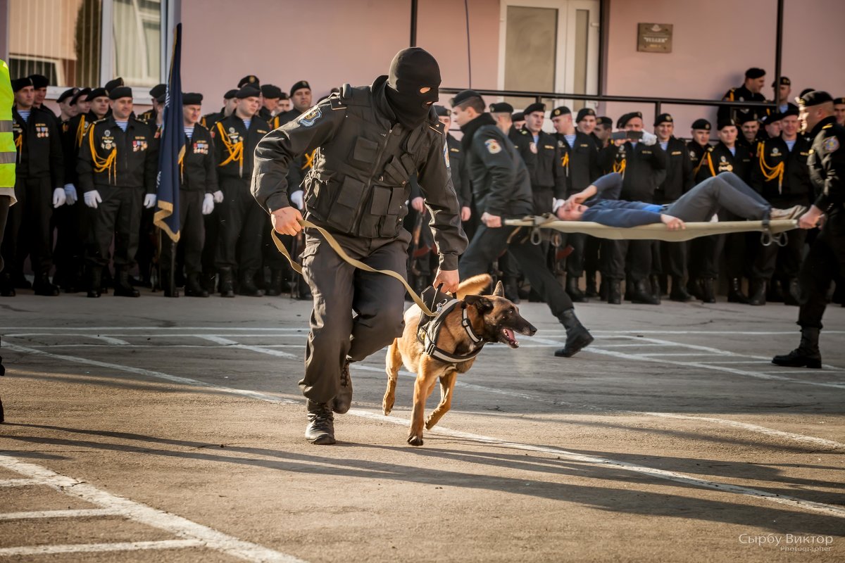 Боевой друг. - Виктор 