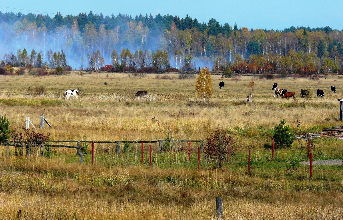 горит торфянник - Леонид Натапов