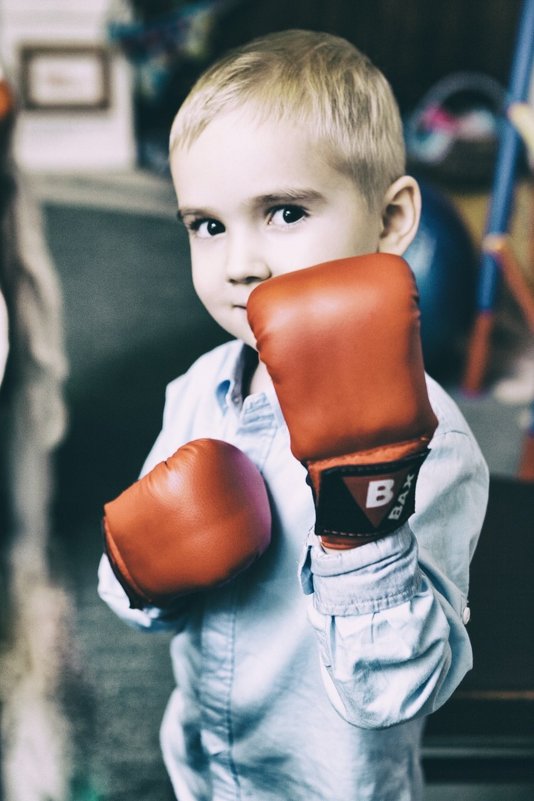 Boxer - Timetofoto 