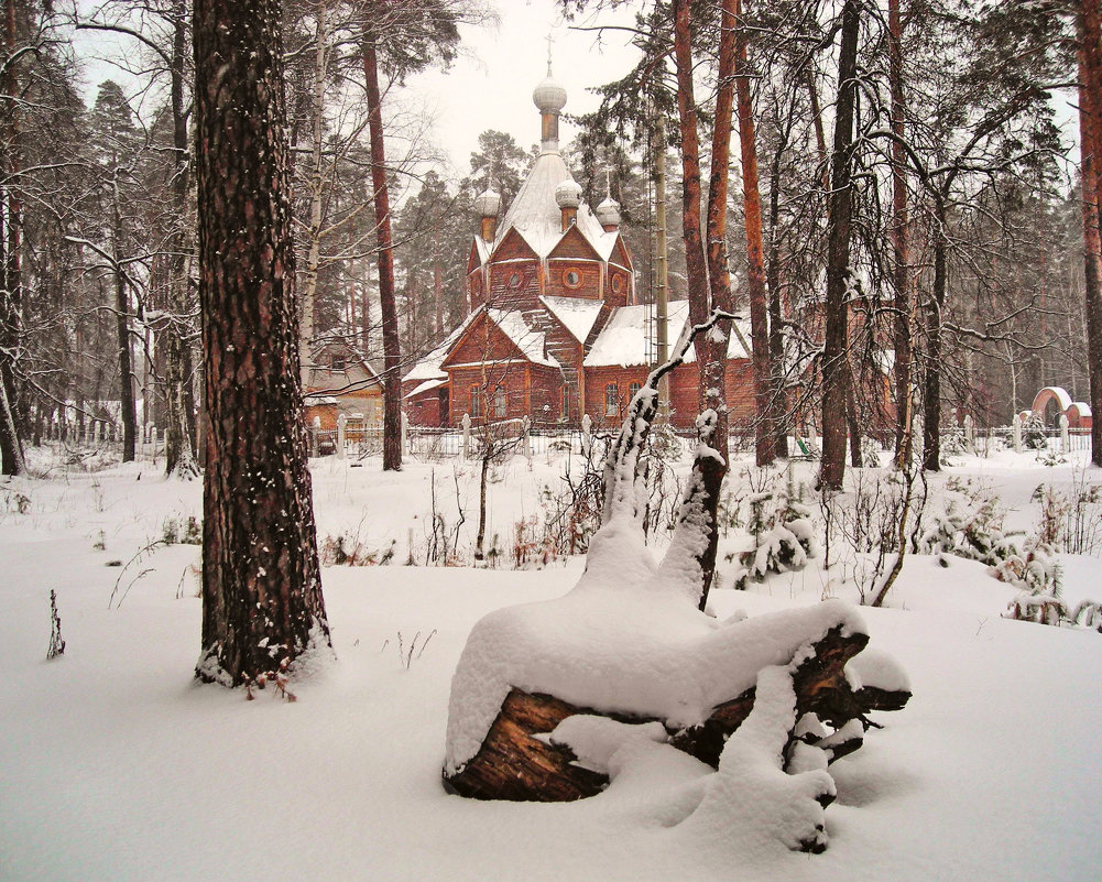 По тропкам в зимнем лесу - Olga Golub