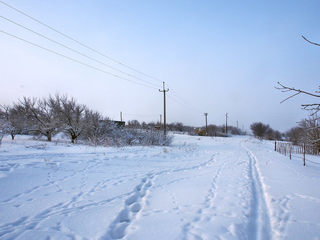 Экскурсия в Гадюкино зимой (9) - Александр Резуненко