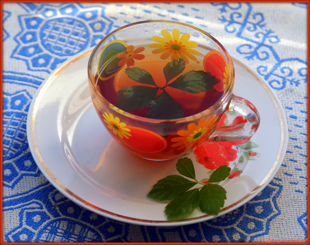 Пьем целебные чаи: это чай с гиностеммой пятилистной - Андрей Заломленков