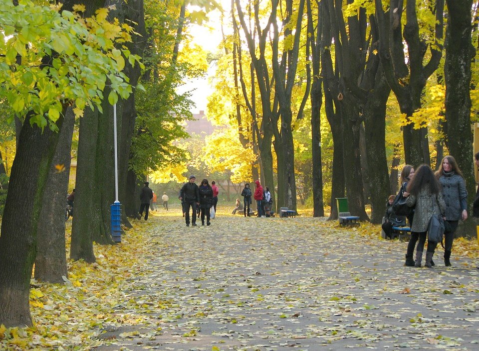 Паркове - Степан Карачко