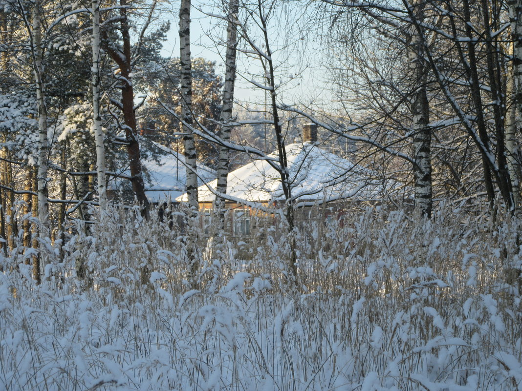 Зима - Mariya laimite