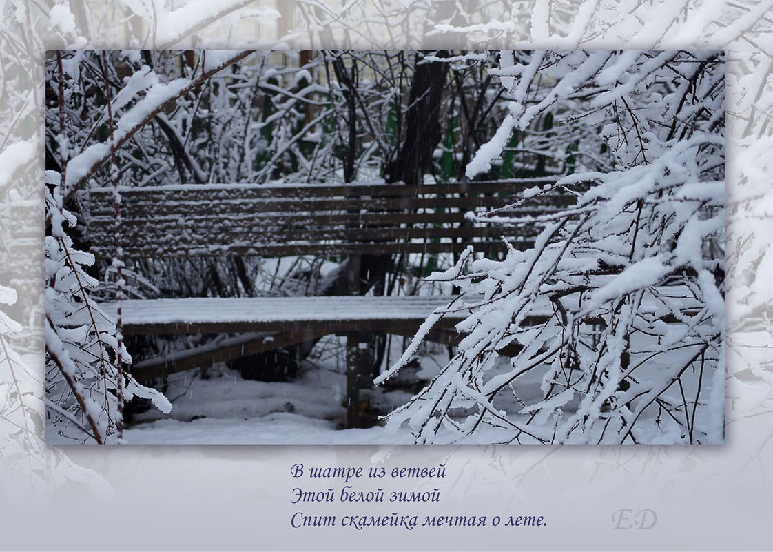 "Этой белой зимой" (вариант) - Елена Дапирка