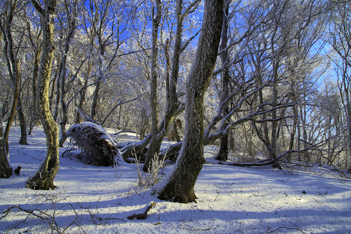 Зима в Крымских горах - Михаил Баевский