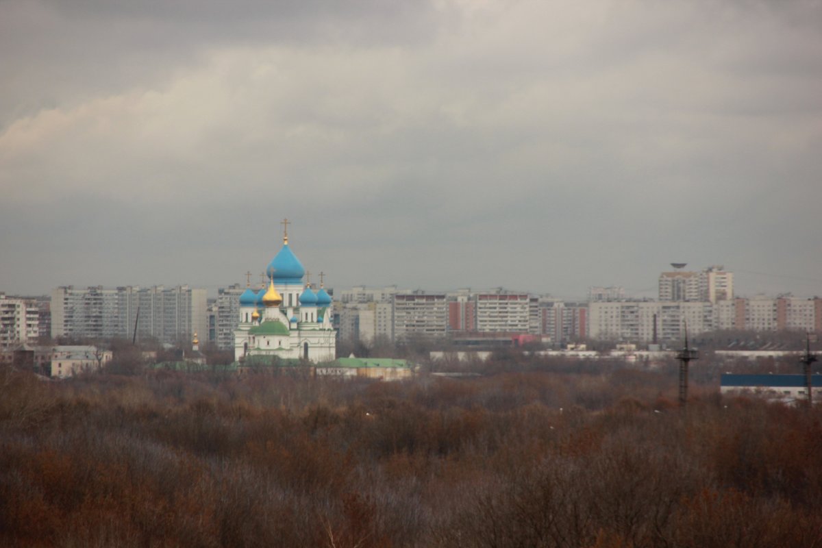 Вид  на город из Коломенского - Анна Елишева