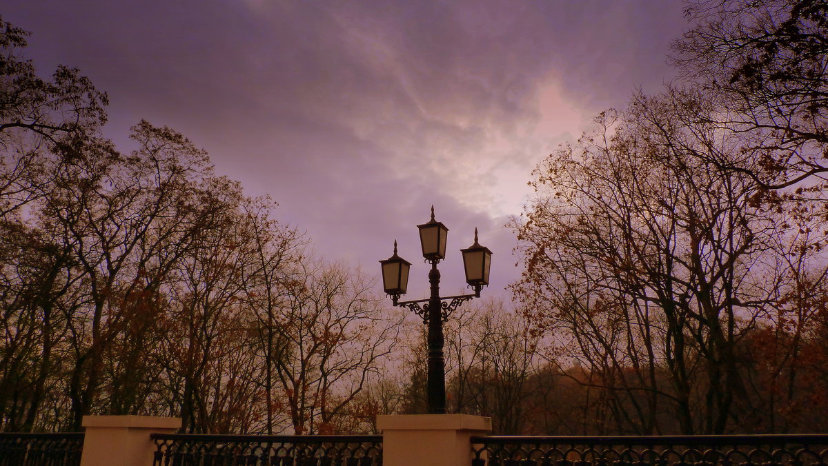 фонарь в парке - Александр Прокудин