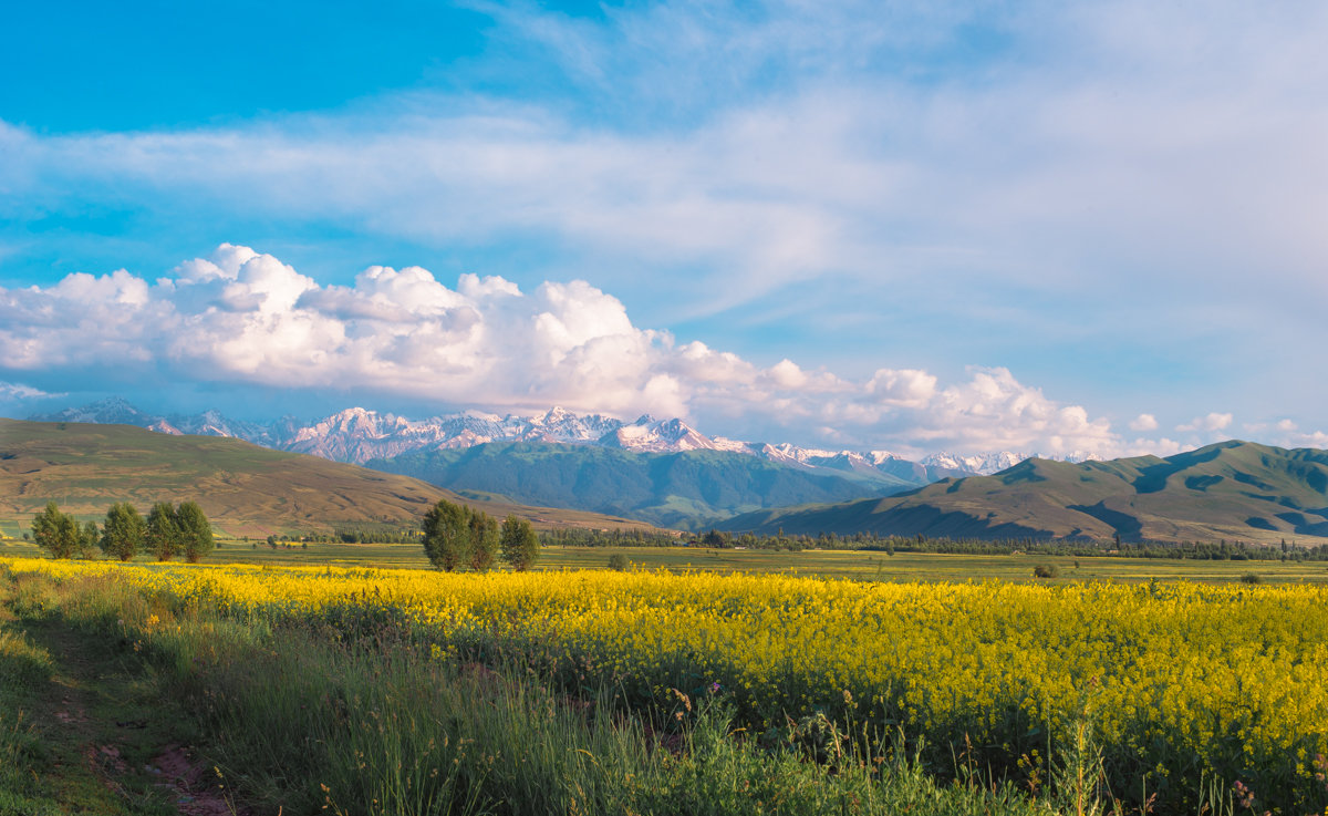 Karakol - Александр (Gars) Притеев