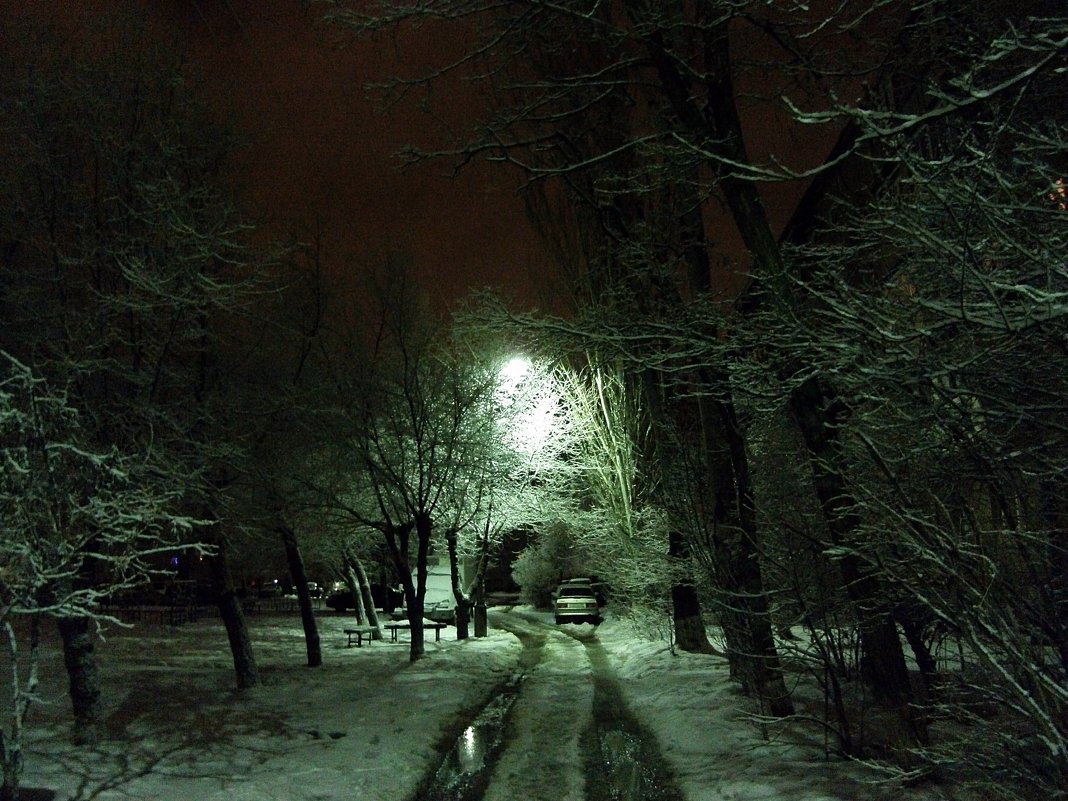 ночь,улица ,фонарь 2 - МИХАИЛ КАТАРЖИН
