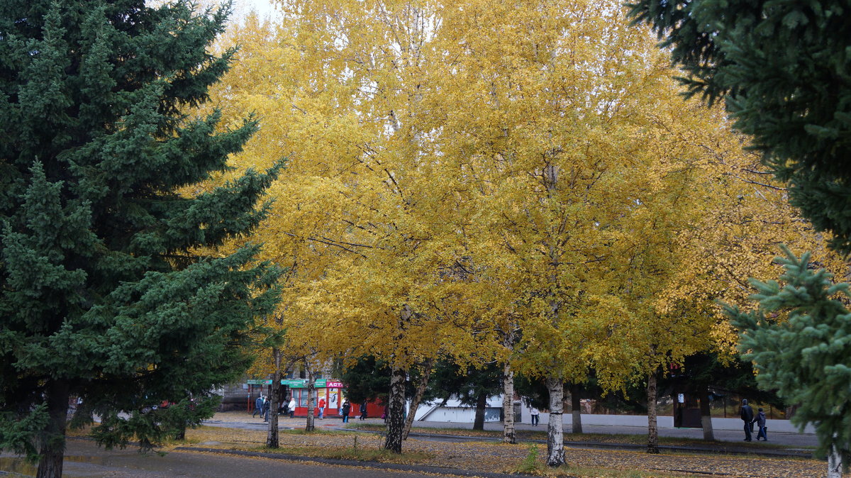 осень в городе3 - Alexandr Staroverov