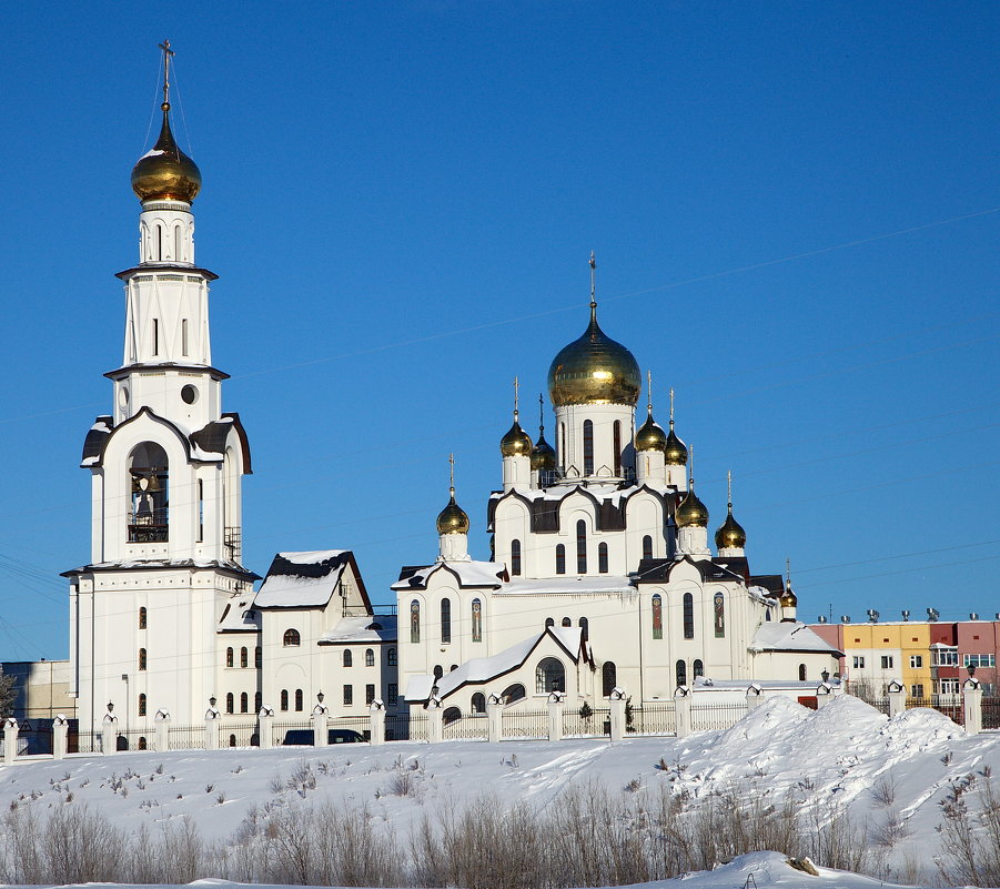 *** - Олег Петрушов